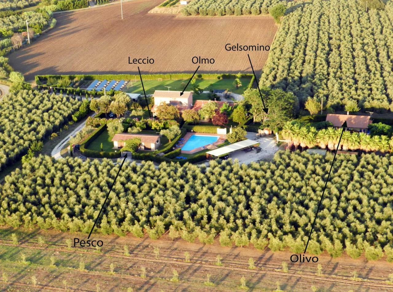 Podere Campi Al Mare Donoratico Exterior photo